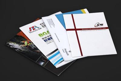 西寧網(wǎng)頁與網(wǎng)站設計 數(shù)字化時代的發(fā)展機遇與實踐探索